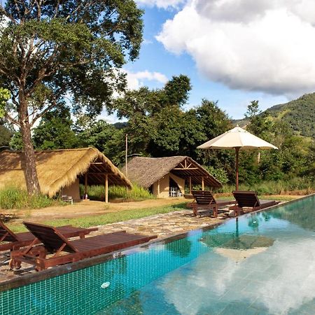Wild Glamping Gal Oya - Thema Collection Hotel Galgamuwa  Kültér fotó
