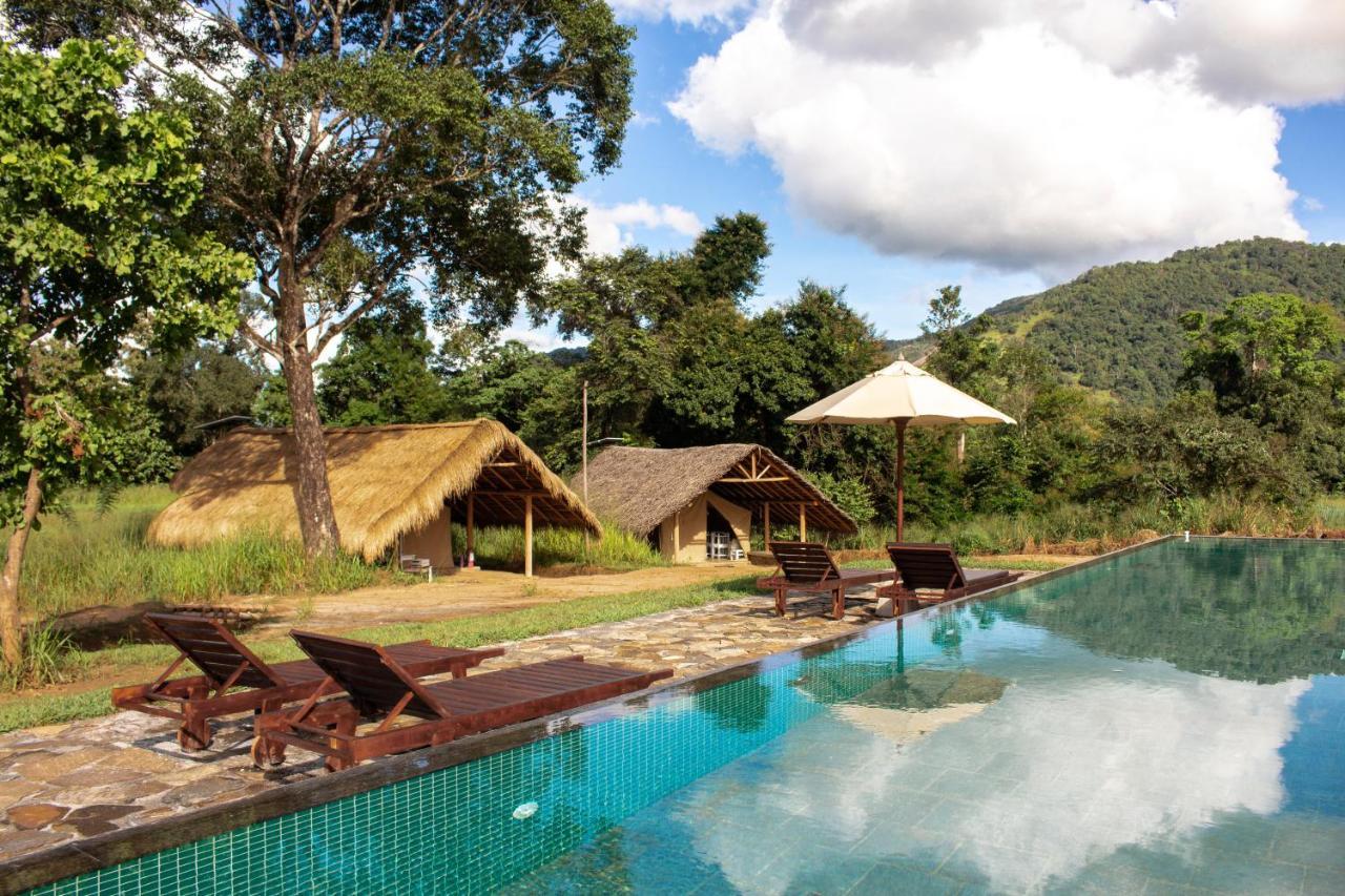 Wild Glamping Gal Oya - Thema Collection Hotel Galgamuwa  Kültér fotó