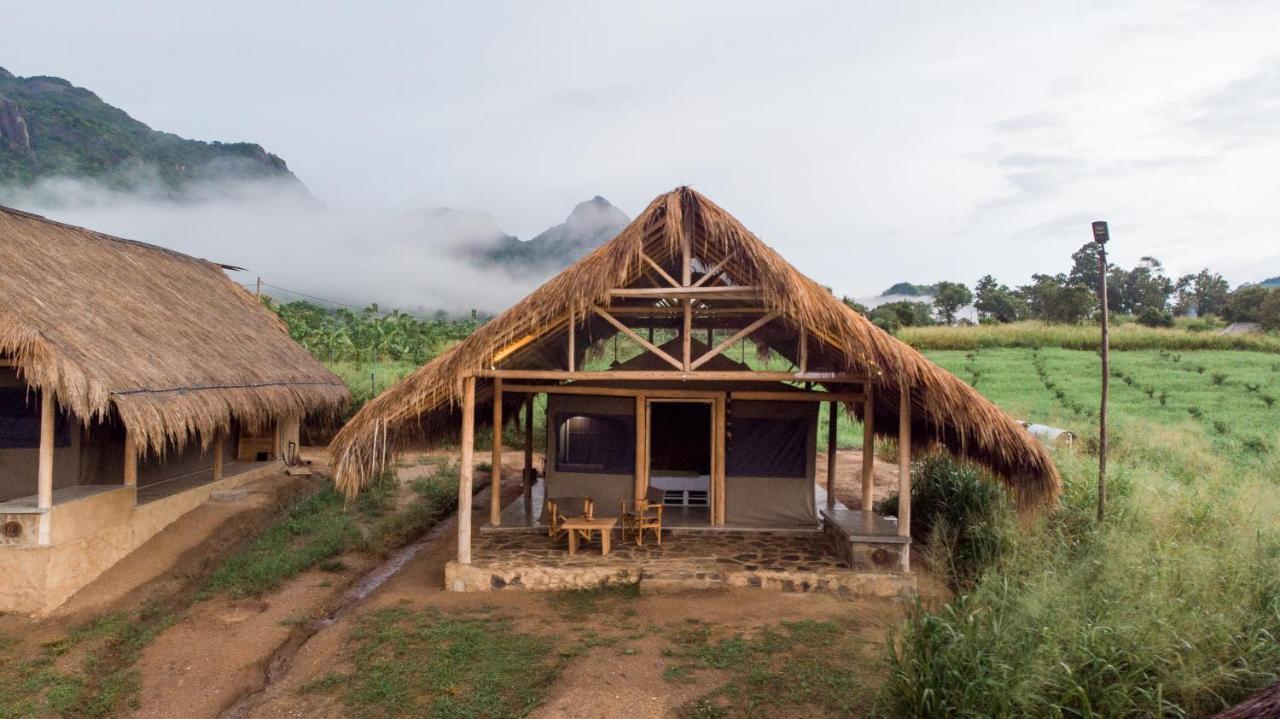 Wild Glamping Gal Oya - Thema Collection Hotel Galgamuwa  Kültér fotó