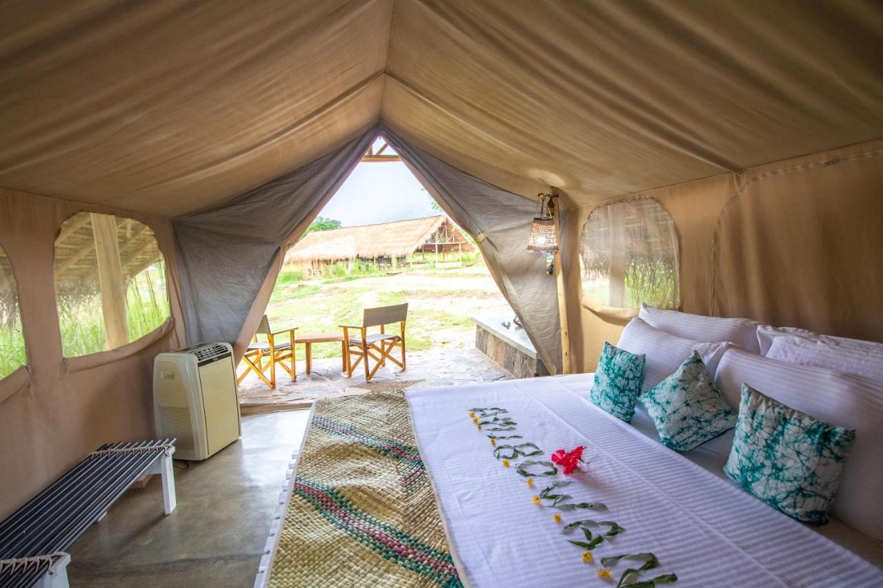 Wild Glamping Gal Oya - Thema Collection Hotel Galgamuwa  Kültér fotó