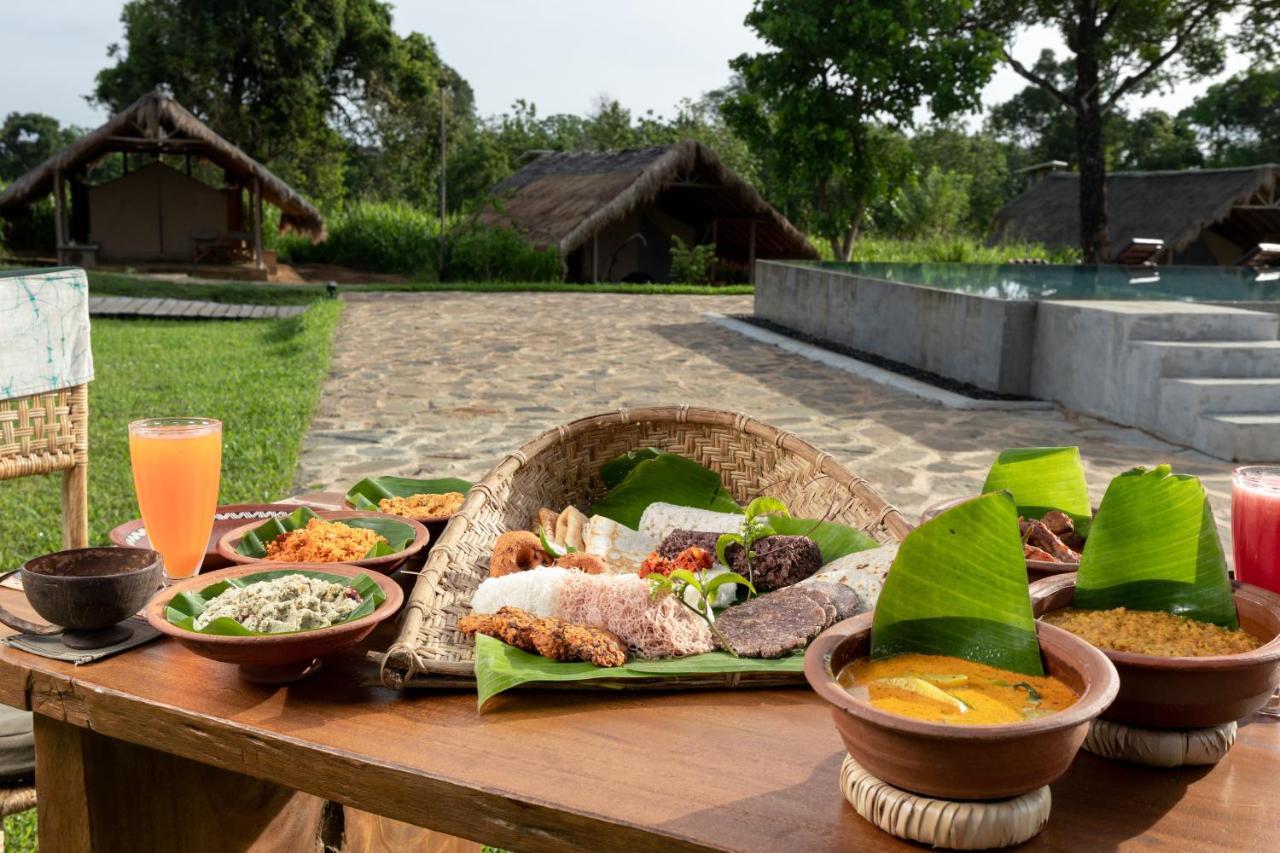 Wild Glamping Gal Oya - Thema Collection Hotel Galgamuwa  Kültér fotó